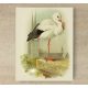 Tile mural - birds -White Stork 