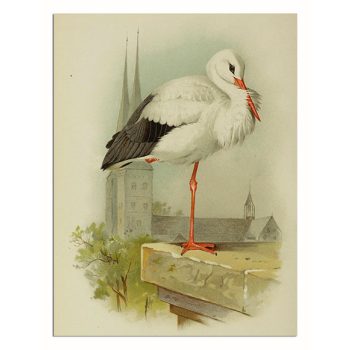 Tile trivet - birds -White Stork 