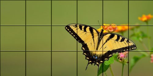 Ceramic tile mural - swallowtail butterfly 