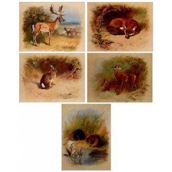Tile mural - wildlife -set of 5 pcs  Tile mural - wildlife -set of 5 pcs