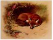Tile mural - wildlife -set of 5 pcs 
