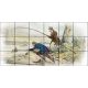 Tile mural - fishes -fishing II. 