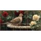 Mourning dove on an antique birdbath with red and cream roses, tile mural