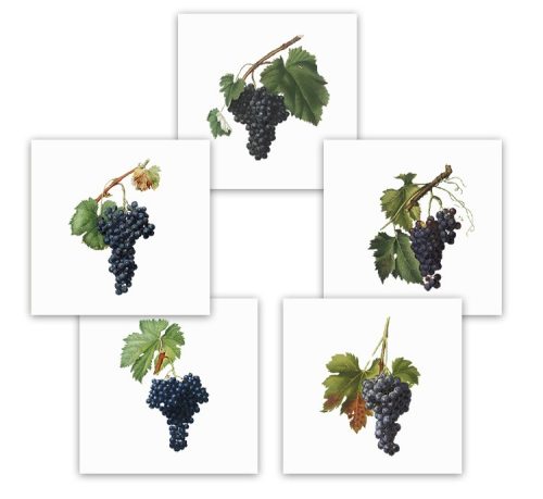 Ceramic tile mural - grapes 