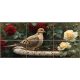 Mourning dove on an antique birdbath with red and cream roses, tile mural