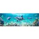 Delfines csempe