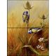 Ceramic tile mural - birds -blue tit 