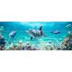 Tile mural - water world - dolphins 