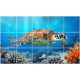 Tile mural - coral reef IV.