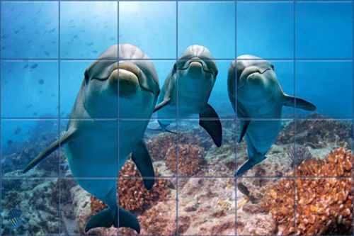 Fürdőszoba csempe mozaik delfines