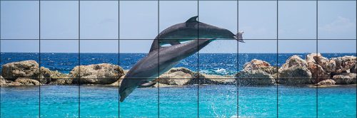 Fürdőszoba csempe mozaik delfines