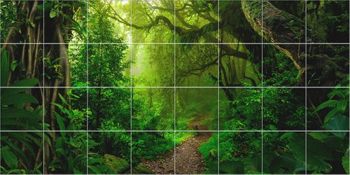 Tropical jungle with lush greenery and forest path – ceramic tile mural