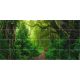 Tropical jungle with lush greenery and forest path – ceramic tile mural