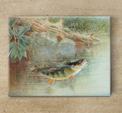 Tile mural - fishes -fishing 