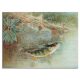 Tile mural - fishes -fishing 