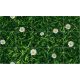 Ceramic tile mural - grass and daisy