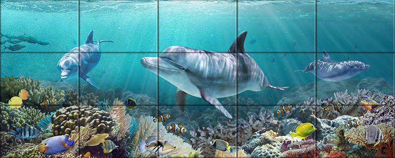 Dolphin Coral Reef Tile Mural – Tropical Ceramic Wall Art |