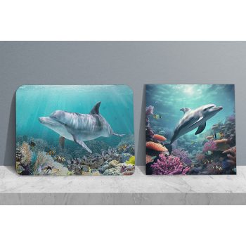 Dolphin - kitchen set