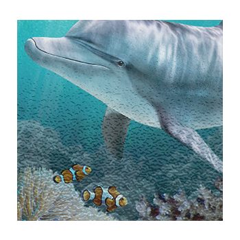 Delfines konyhai szett