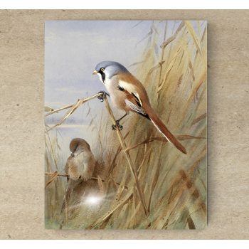 Tile trivet - birds -tit 