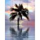 Beach and palm tree in the sunset - tile mural