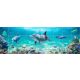 Tile mural - water world - dolphins 