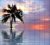 Tile mural - Beach and palm tree in the sunset