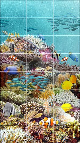 Tile mural - coral reef IV.