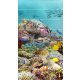 Tile mural - coral reef IV.