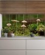 Ceramic tile mural - mosses and mushrooms 