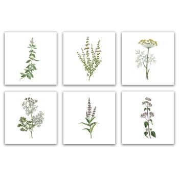 Set of tiles - flowers  Set of tiles - flowers