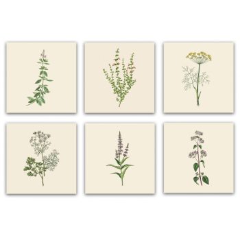 Csempe szett - fűszernövények (6 db csempe) 