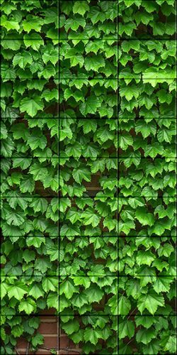Levél mintás csempe - vadszőlő (180x90cm)