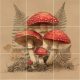 Ceramic tile mural - mosses and mushrooms 