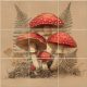 Ceramic tile mural - mosses and mushrooms 