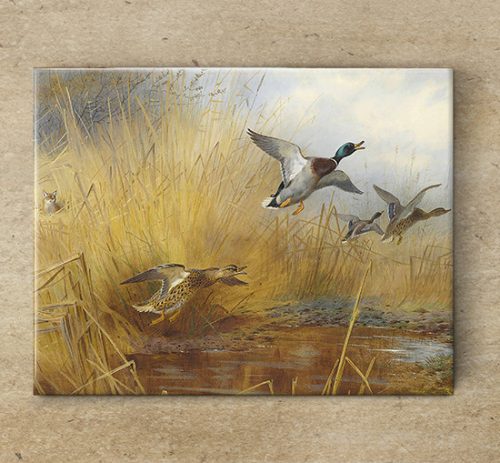 Tile mural - wildlife -fox in the reeds 