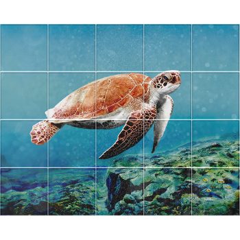Ceramic tile mural - dolphin  Ceramic tile mural - dolphin
