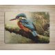 Cutting board - Kingfisher