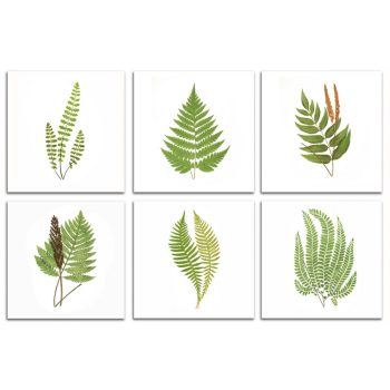 Csempe szett - páfrányok (6 db csempe) 