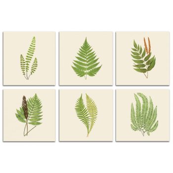 Set of tiles - ferns