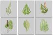 Set of tiles - ferns 