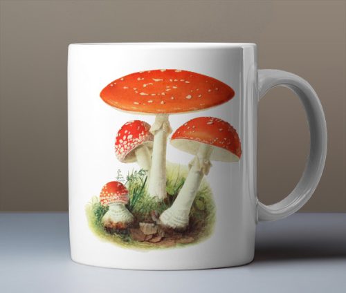 Muschroom mug