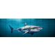 Tile mural - water world - Great White shark