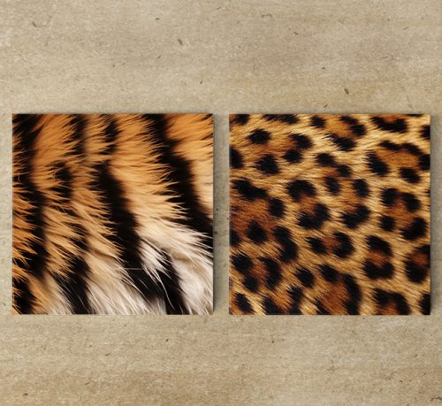 Tigris és leopárd mintás dekorcsempe