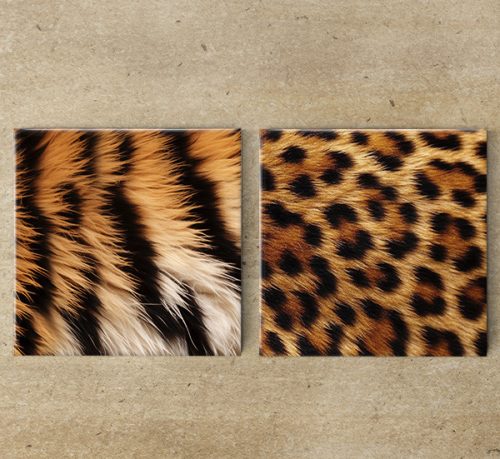 Tigris és leopárd mintás dekorcsempe