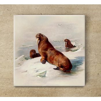 Tile trivet - water world -walrus 