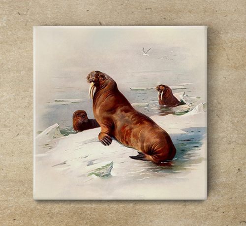 Tile trivet - water world -walrus 