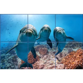 Tile mural - water world - curious dolphins  Tile mural - water world - curious dolphins