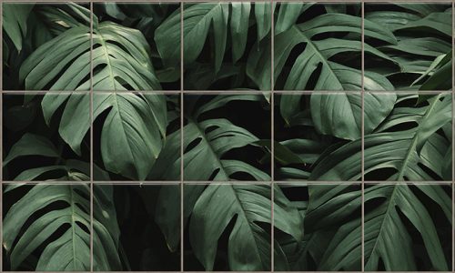 Monstera levelek trópusi dekorcsempe és csempekép zöld növény mintával