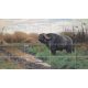 Tile mural - buffalo 